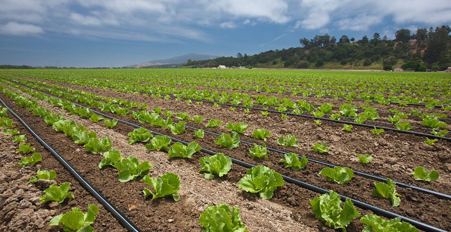 Illustration of a framed structure with beams, columns, and drawings